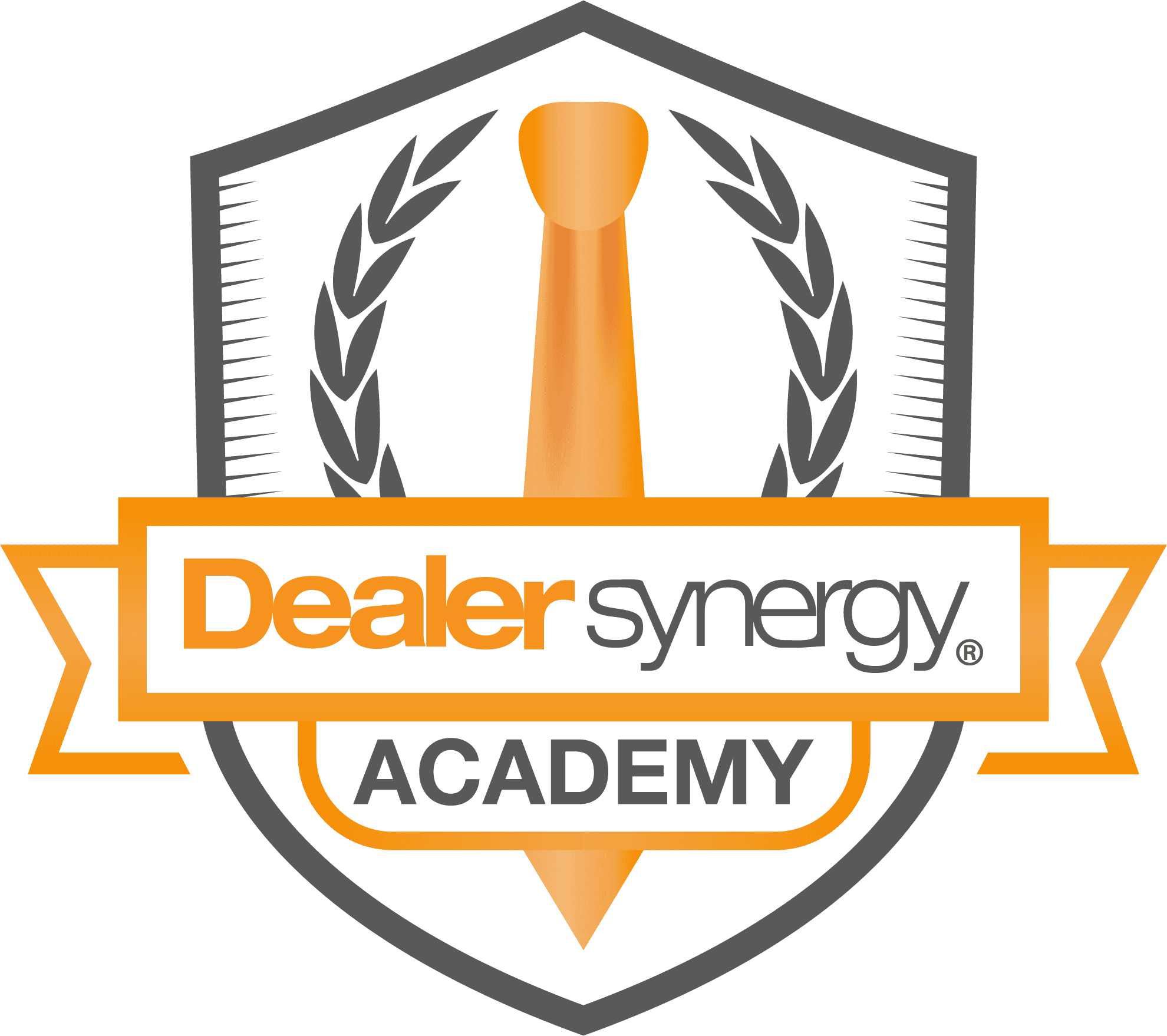 DS Academy