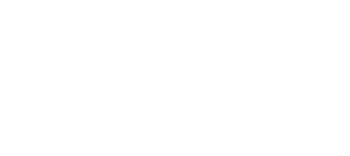dealer socket logo